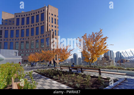 Il Vancouver Public Library giardino sul tetto che ha aperto il 29 settembre 2018, Vancouver, BC, Canada Foto Stock