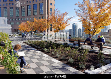 Il Vancouver Public Library giardino sul tetto che ha aperto il 29 settembre 2018, Vancouver, BC, Canada Foto Stock