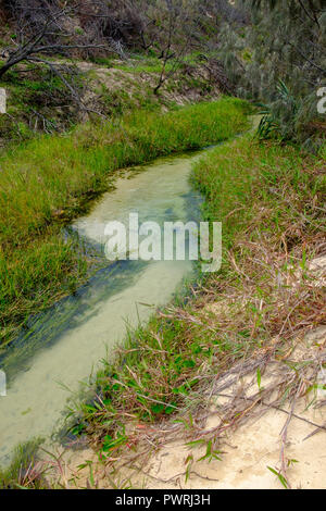 Wyuna Creek - Fraser Island Foto Stock