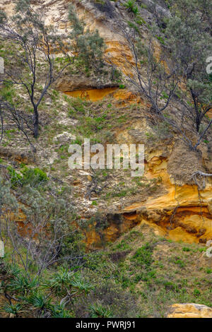 Wyuna Creek - Fraser Island Foto Stock