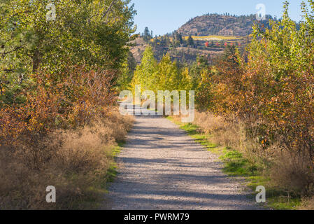 Kettle Valley Rail sentiero attraverso la foresta di autunno sulla giornata di sole Foto Stock