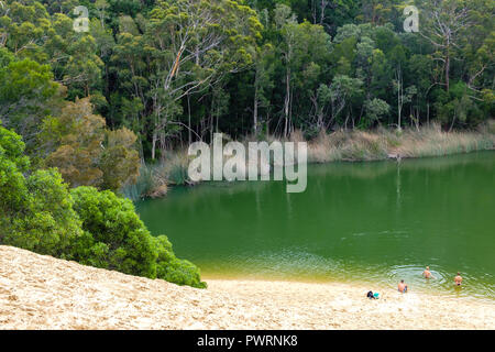 Il lago Wabby - Fraser Island Foto Stock