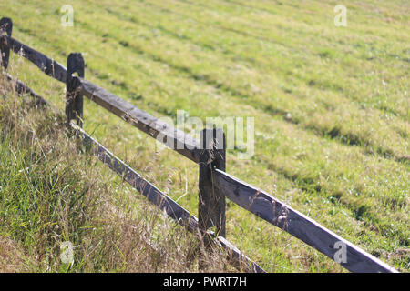 Campo di legno recinzione in autunnale del Vermont settentrionale Foto Stock