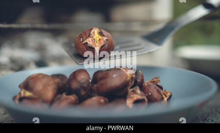 Immagine retrò di castagne arrosto su una spatola con la piastra piena di castagne e garden grill in background. Foto Stock