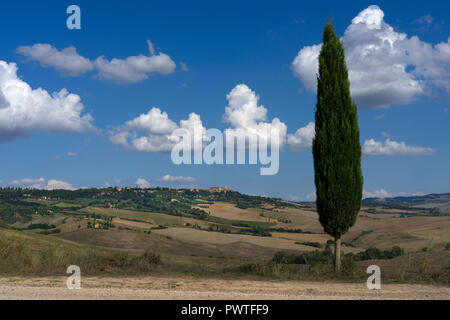 Vista sul paesaggio toscano in val d'orcia alla cittadina collinare di Pienza,Toscana,l'Italia,l'Europa Foto Stock