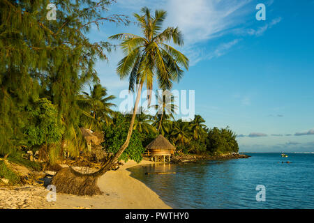 Matira Point beach nella luce della sera, Bora Bora, Polinesia Francese Foto Stock