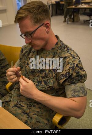 Lancia Cpl. Andrew Fitzgerald, una macchina gunner con Marine forza rotazionale Europa 17.1 (MRF-E) esamina un ago durante un combattimento salvavita corso Giugno 20, 2017 in Vaernes, Norvegia. Marines hanno imparato a trattare di aspirazione ferite al petto, come amministrare farmaci IV e altre tecniche durante le lezioni. MRF-E assicura Marines imparare circa l'arte di essere un efficiente lottatori e vita-saver. Foto Stock