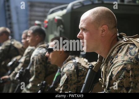 Lancia Cpl. Hayden Grote, un fante con India Company, battaglione atterraggio squadra, 3° Battaglione, 5 Marines, 31 Marine Expeditionary Unit, si prepara a vista in durante la non-live fire Close Quarter tattica della formazione a bordo della USS Ashland (LSD 48) mentre è in corso nell'Oceano Pacifico, 20 giugno 2017. Marines con India Company treno regolarmente per migliorare la loro comprensione e capacità in combattimento a distanza ravvicinata. India Company, il raid meccanizzata company per la trentunesima MEU, specializzata in sbarchi anfibio in assalto veicoli anfibi. Il trentunesimo MEU partner con la marina militare anfibio della Sq Foto Stock