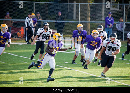 Cretin-Durham nero Hall High School running back porta il calcio attorno all'estremità con orso bianco di alta scuola di difesa in esercizio. St Paul Minnesota MN USA Foto Stock