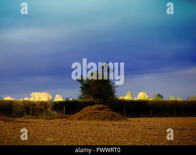 Campagna Tramonto Tramonto Foto Stock