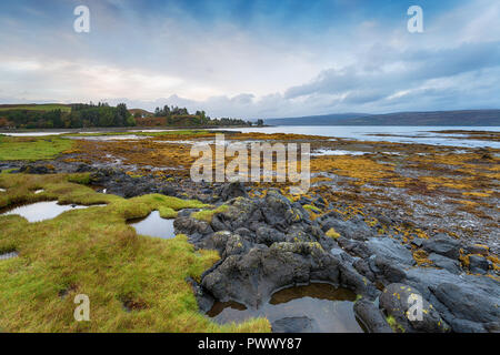 Aros vicino Tobemory sull'Isle of Mull in Scozia Foto Stock