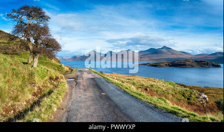 Una singola traccia strada si snoda è il modo in passato un albero solitario al fianco di Loch Na Keal e la piccola isola di Eorsa sull'Isle of Mull in Scozia Foto Stock