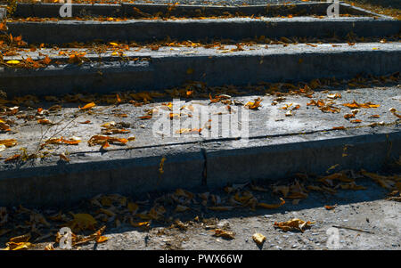 Vecchio Grungy scalinata in cemento, passaggi coperti con foglie di giallo. Foto Stock