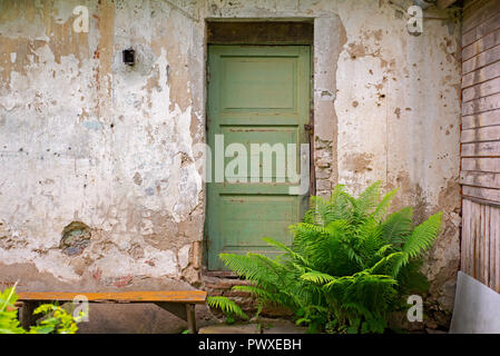Il verde porta di legno, sporco grunge parete in stucco background. Foto Stock
