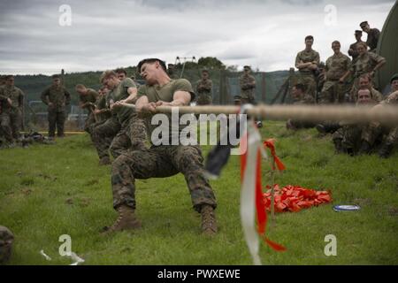 Stati Uniti Marines e soldati britannici di partecipare in un Tug-of-War la concorrenza come parte di una competizione a squadre durante l'esercizio Phoenix Odyssey 17 a Garelochhead Training Camp, Scozia, 30 giugno 2017. Phoenix Odyssey consente di Marines, marinai e soldati britannici a condividere l uno con l altro le operazioni di intelligence capacità su cui si espande la nostra capacità di lavorare come alleati della NATO nel caso del mondo reale delle operazioni. I marines e marinai che partecipano sono assegnati al 2° Battaglione di intelligence, II Marine Expeditionary Force. Foto Stock