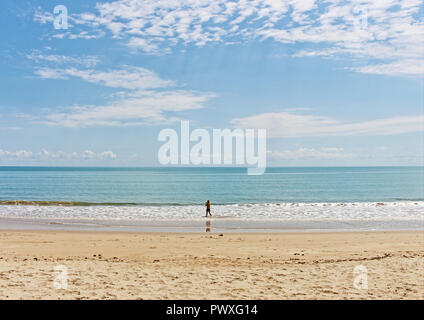 Ellis Beach si trova appena a nord di Palm Cove lungo la Captain Cook Highway risalendo la costa da Cairns verso Port Douglas Foto Stock