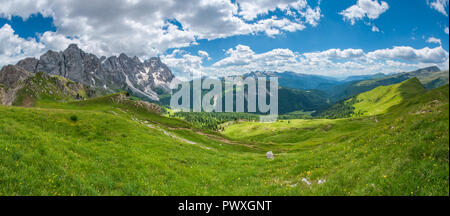 Vista panoramica delle vette dolomitiche, Alpi Italiane. Picchi rocciosi, valli erbose e prati in estate stagione di fiori selvaggi e spettacolari escursioni. Foto Stock