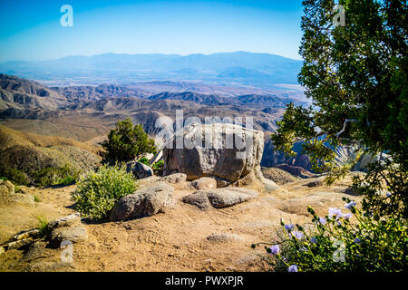 Vista panoramica di Ryan Mountain a Joshua Tree National Park, California Foto Stock