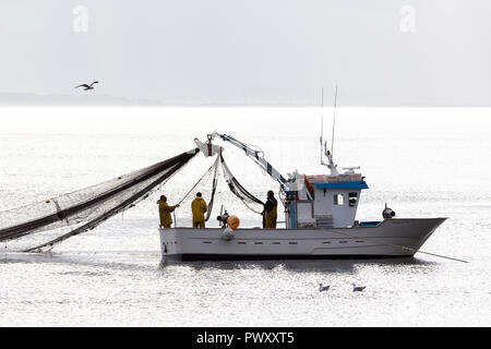 Barcos de pesca de cerco Foto Stock