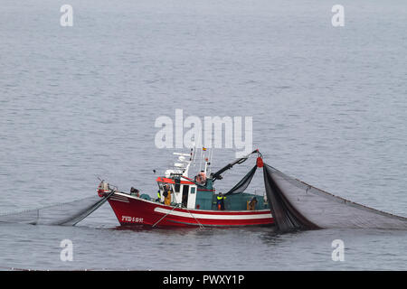 Barcos de pesca de cerco Foto Stock