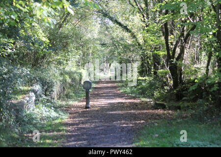 Ystwyth trail, Llanilar, vicino a Aberystwyth, Regno Unito, 18 ott 2018. Regno Unito Meteo: un glorioso autunno dorato giorno lungo il sentiero Ystwyth, un vecchio abbandonato la linea ferroviaria vicino Llanilar, Ceredigion. I piloti con i cavalli e i camminatori con cani godere il calore del sole tra le foglie che cadono Credito: mike davies/Alamy Live News Credito: mike davies/Alamy Live News Foto Stock