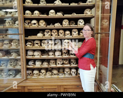 Vienna, Austria. Xvi oct, 2018. Karin Wiltschke, vice direttore della raccolta osteologica raccolta di Vienna del Museo di Storia Naturale (NHM), di fronte a una delle numerose cabine di vetro con teschi. I teschi sono parte della mostra "Guerra. Sulle orme di una 'evoluzione' del NHM, che può essere visto dal 24 Ottobre al 28 aprile 2019. (A DPA: 'Un quasi sconosciuto tesoro di ossa - una mostra sulla storia di guerra' dal 19.10.2018) Credito: Matthias Röder/dpa/Alamy Live News Foto Stock