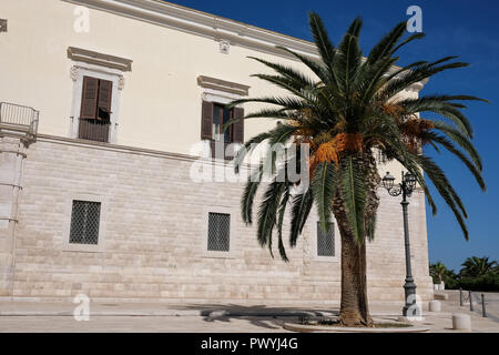 Singola coppia Palm tree su una piazza vicino al porto di Trani, Puglia, Italia. Fotografato in una giornata di sole in tarda estate. Foto Stock