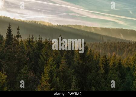 Foschia nelle foreste di montagna con il sole che splende Foto Stock