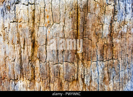 Superficie di macro, la bellezza dell'Invisibile Abstract texture e sfondi, Atene Grecia Foto Stock