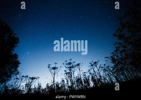 Blu scuro cielo notturno con molte stelle Foto Stock