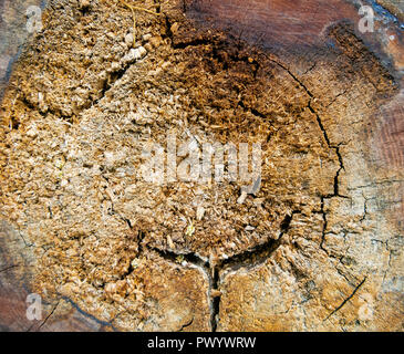 Superficie di macro, la bellezza dell'Invisibile Abstract texture e sfondi, Atene Grecia Foto Stock