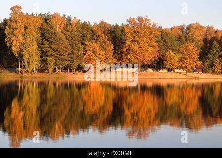 In autunno gli alberi colorati e il loro riflesso nel lago al tramonto a metà ottobre Foto Stock