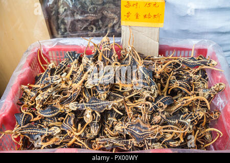 Essiccato lucertole in stallo del mercato di Hong Kong Foto Stock