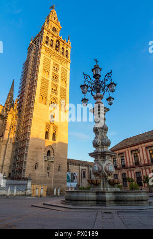 La Giralda Torre Campanaria alla prima luce del sole, Siviglia, in Andalusia, Spagna, Europa Foto Stock