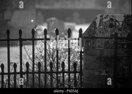 Viste monocromatica nel sagrato della chiesa di San Aldhelm, Bishopstrow, Warminster, Wiltshire, Regno Unito. Foto Stock