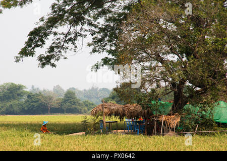Di Hpa-an, MYANMAR - Marzo 2018: verde paesaggio con i campi e il contadino vicino Hpa-An in Myanmar Foto Stock