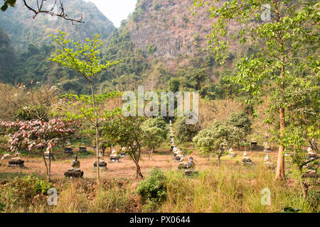 Righe di seduta statue di Buddha nel giardino Lumbini vicino Hpa-An in Myanmar Foto Stock