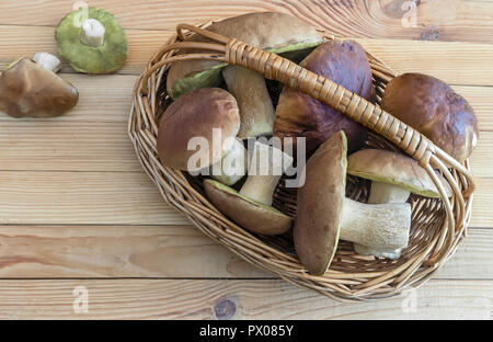 Sul tavolo in un cesto di vimini di funghi freschi funghi porcini. La vista dall'alto. Foto Stock