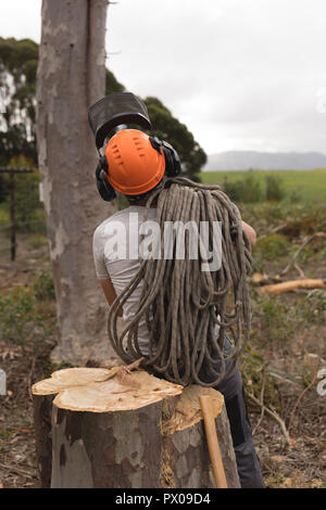 Lumberjack rilassante sul ceppo di albero Foto Stock