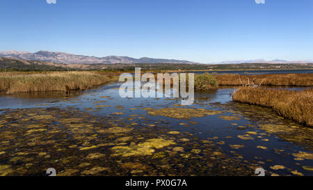 Montenegro - una vista in corrispondenza di una porzione del Parco Naturale di Solana Ulcinj (Ulcinj Saltern) Foto Stock