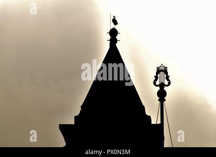 Silhouette di cicogna bianca, Ciconia ciconia, migrazione oltre le isole maltesi. Uccello è in appoggio sul bilanciamento del campanile della Chiesa Cattolica, Malta Foto Stock