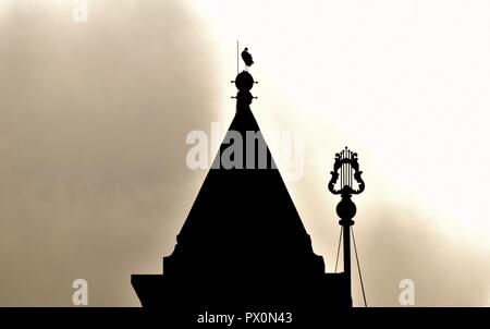 Silhouette di cicogna bianca, Ciconia ciconia, migrazione oltre le isole maltesi. Uccello è in appoggio sul bilanciamento del campanile della Chiesa Cattolica, Malta Foto Stock