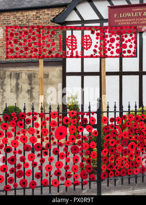 Lavorato a maglia e ad uncinetto display di papavero per commemorare i 100 anni della fine della Prima Guerra Mondiale lo Yorkshire Ripon Inghilterra Foto Stock