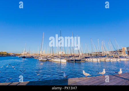 Bella vista delle barche a vela ancorata al molo di Barcellona Spagna in una giornata di sole con battenti aironi e sul molo, copia spazio per il testo Foto Stock