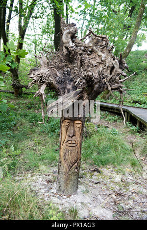 Alberi piantati capovolto intagli lungo il paese a piedi a Crich Tramway Museum nel villaggio di Crich, Derbyshire, Regno Unito Foto Stock