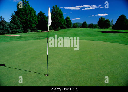 Green di golf su un campo da golf privato, STATI UNITI D'AMERICA Foto Stock