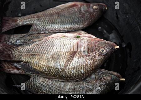 Chiudere il gruppo di pesce preparati per la cottura in strada di Bangkok, Thailandia Foto Stock