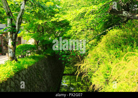 Nuovo verde e modo filosofico Foto Stock