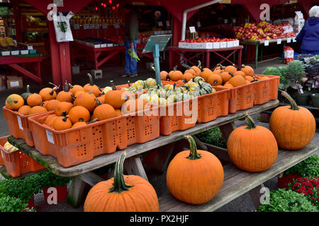 La frutta e la verdura stand negli Stati Uniti con il display di grandi e piccole zucche Foto Stock