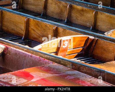 Punt, fiume Cherwell, University of Oxford Botanic Garden, Oxford, Oxfordshire, England, Regno Unito, GB. Foto Stock